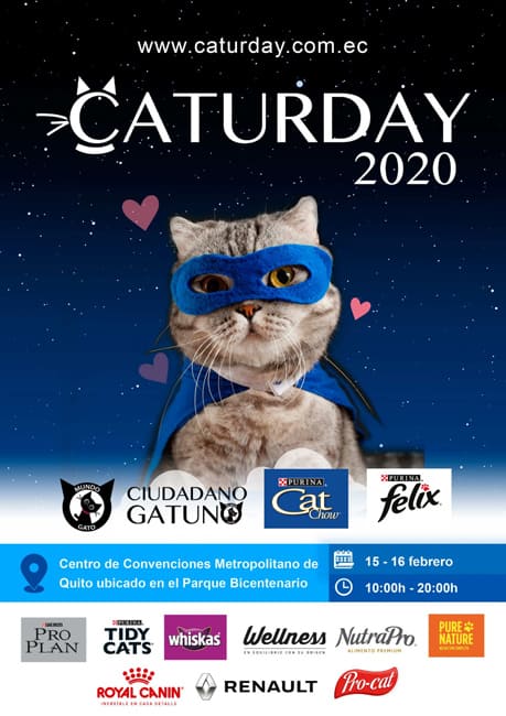 Afiche Caturday