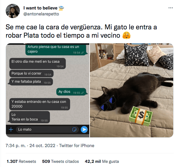 Arturo el gato que robaba dinero a su vecino