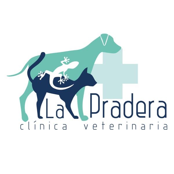 Logotipo-clinica-la-paradera-alta vf