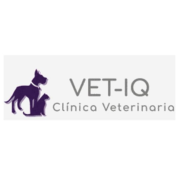 losotipo-vet-iq