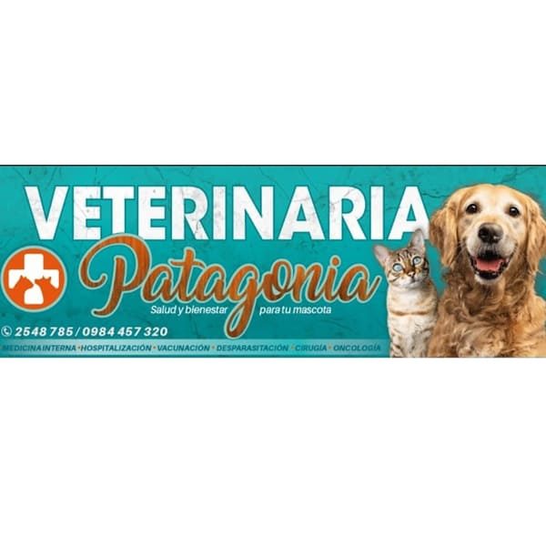 veterinaria-patagonia